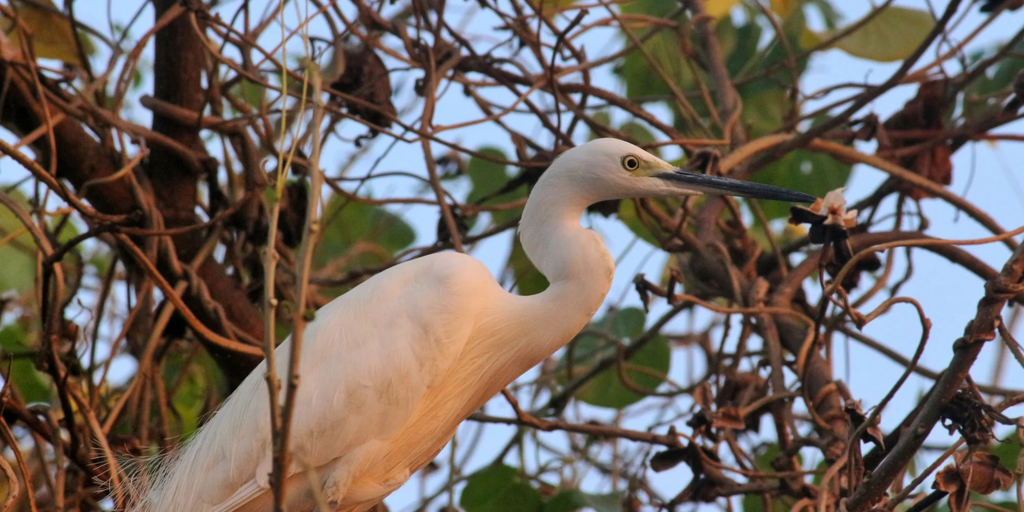 Eindrucksvolles Kerala Rundreise Rundreise Kerala Indien Ayuboa 4 Tage